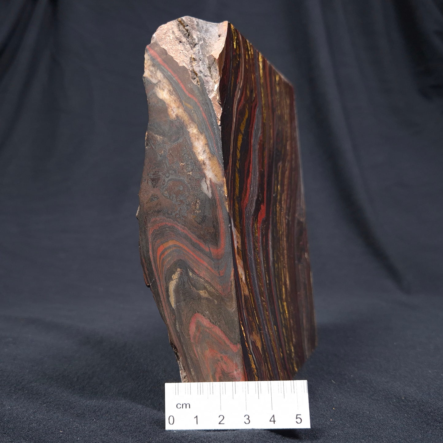 BANDED TIGER IRON MICROBIALITE, Archean, Australia ZBI029