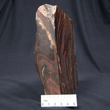BANDED TIGER IRON MICROBIALITE, Archean, Australia ZBI029