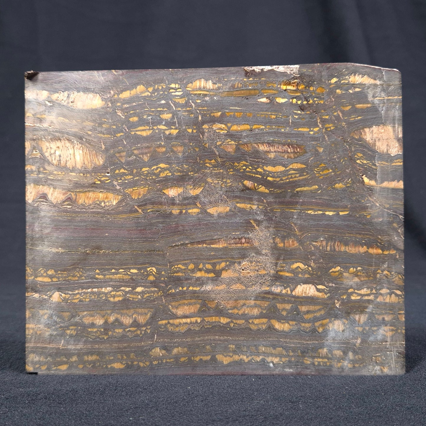 BANDED TIGER IRON MICROBIALITE, Archean, Australia ZBI030