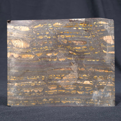 BANDED TIGER IRON MICROBIALITE, Archean, Australia ZBI030