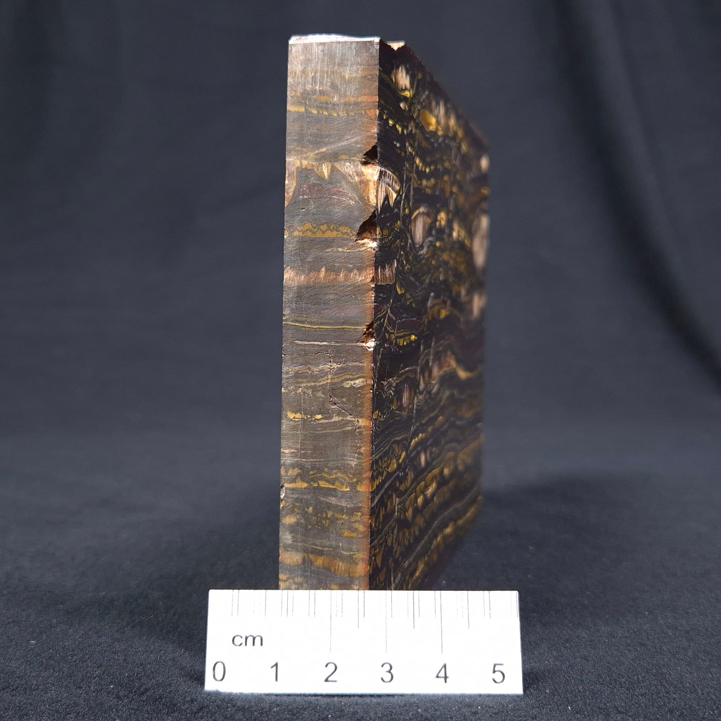 BANDED TIGER IRON MICROBIALITE, Archean, Australia ZBI030
