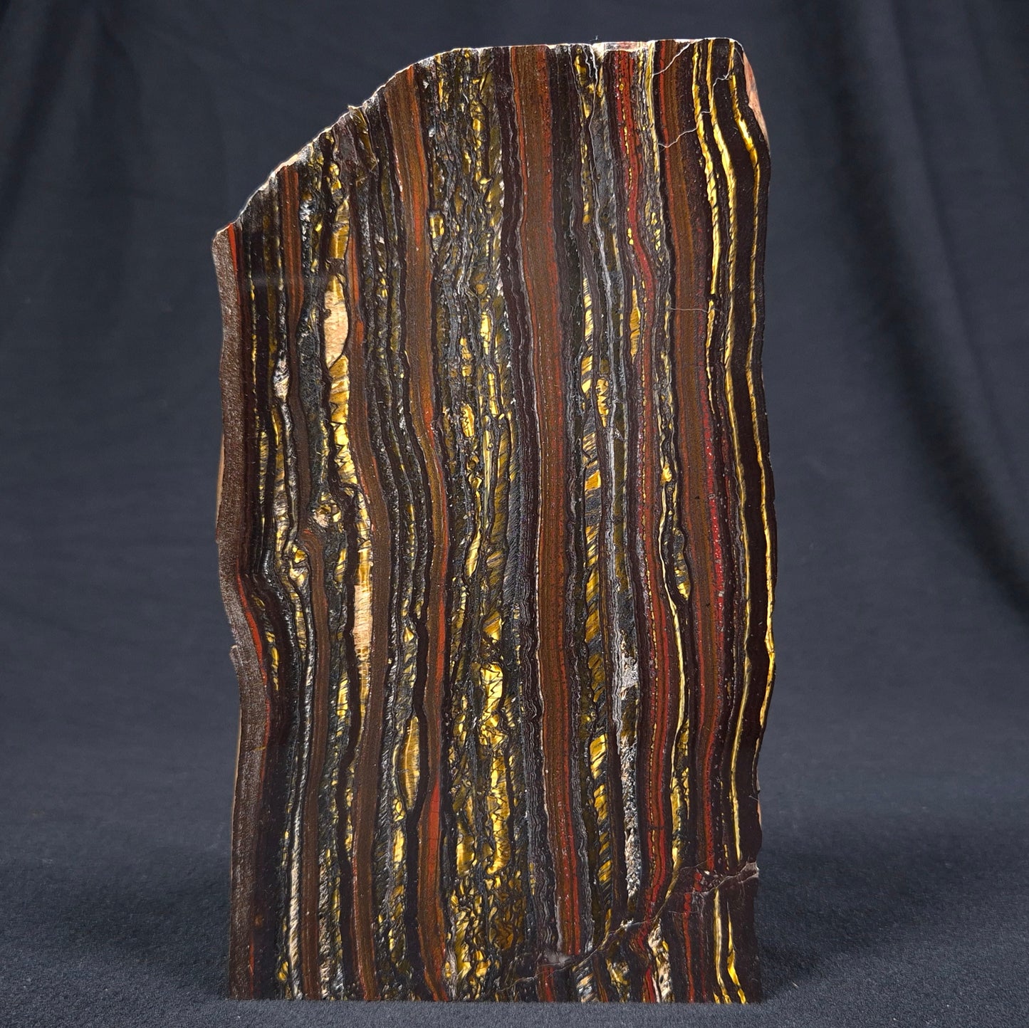 BANDED TIGER IRON MICROBIALITE, Archean, Australia ZBI031