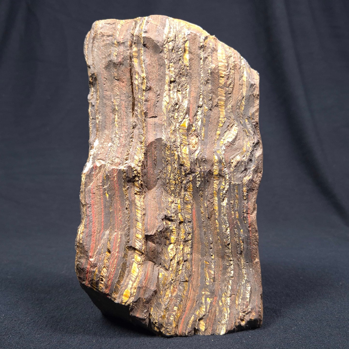 BANDED TIGER IRON MICROBIALITE, Archean, Australia ZBI031