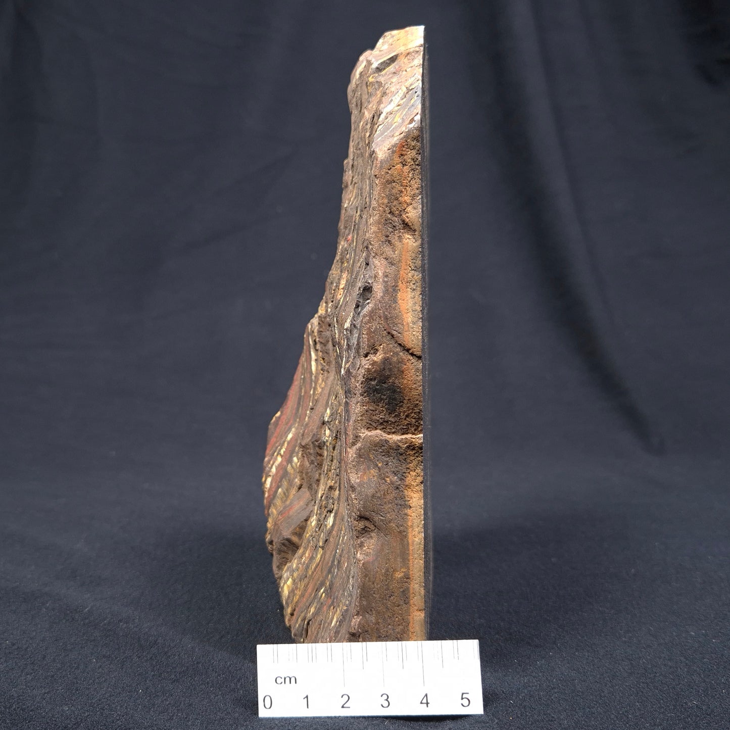 BANDED TIGER IRON MICROBIALITE, Archean, Australia ZBI031