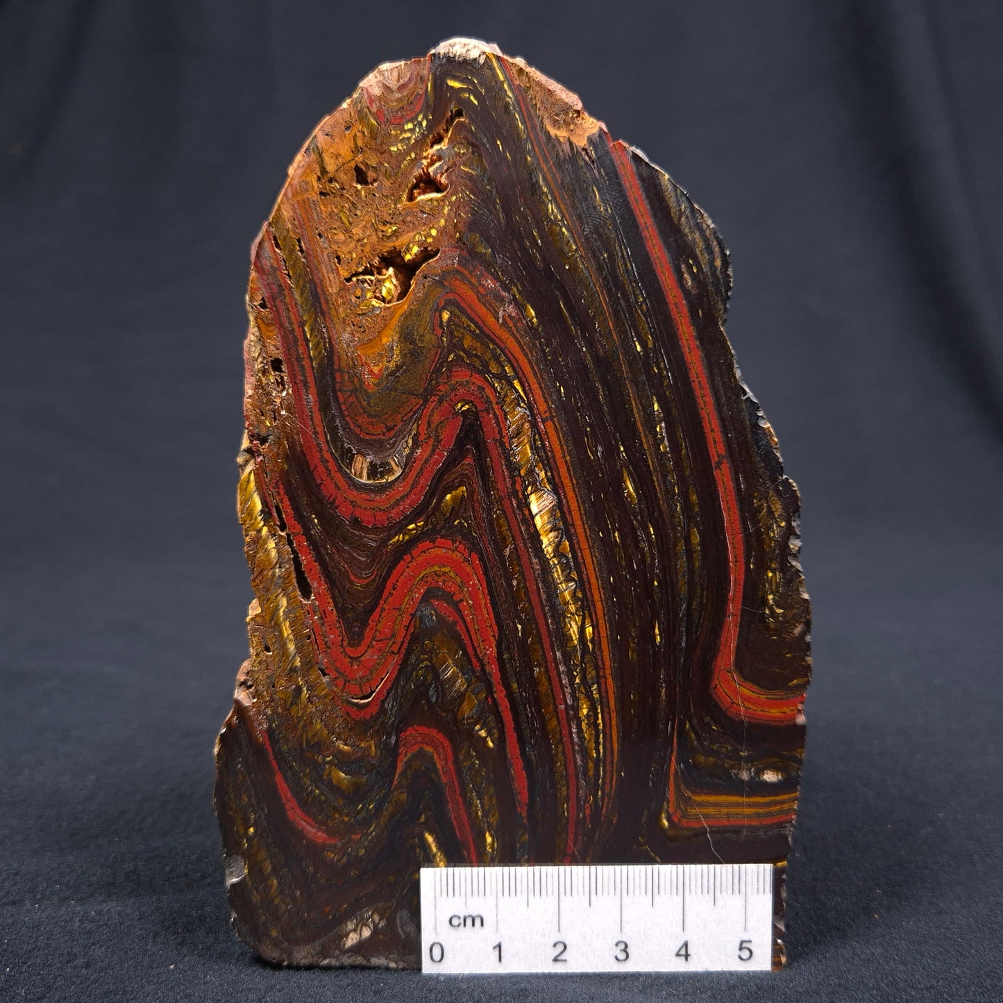 BANDED TIGER IRON MICROBIALITE, Archean, Australia ZBI032
