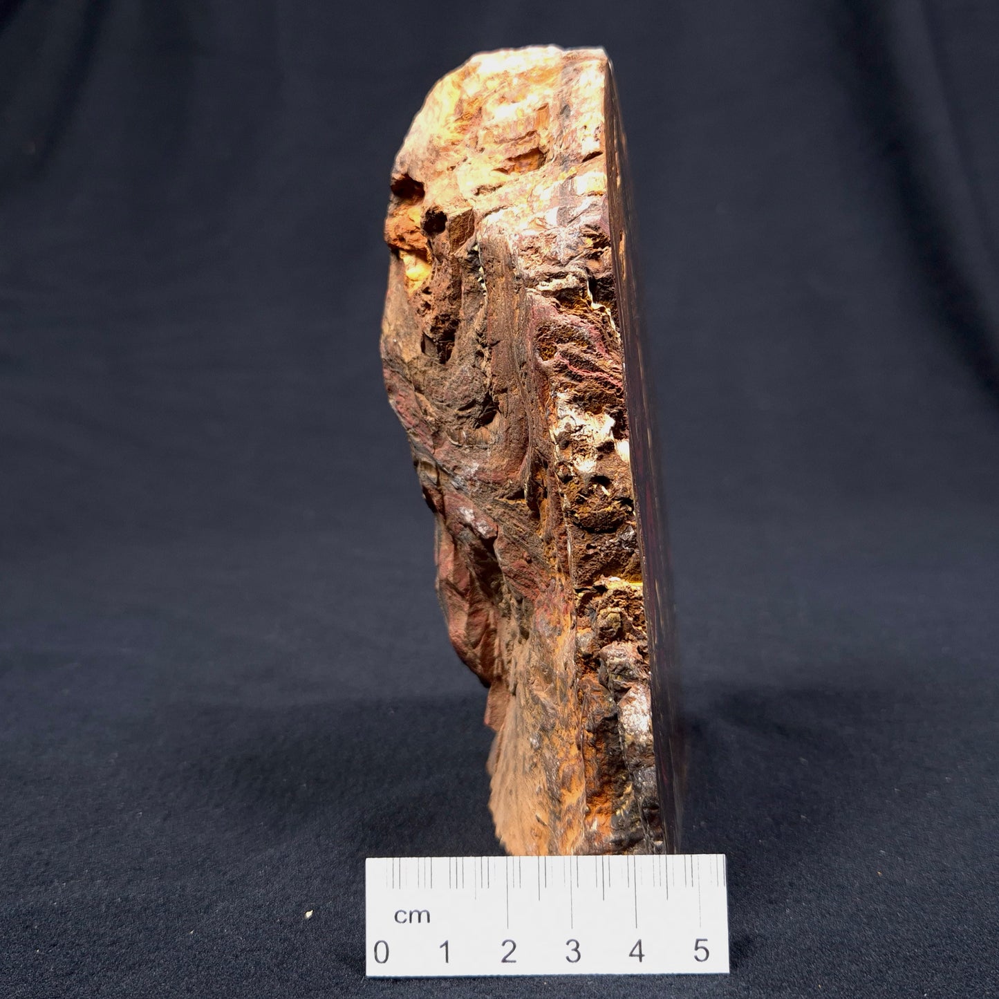 BANDED TIGER IRON MICROBIALITE, Archean, Australia ZBI032