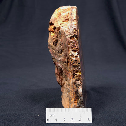 BANDED TIGER IRON MICROBIALITE, Archean, Australia ZBI032