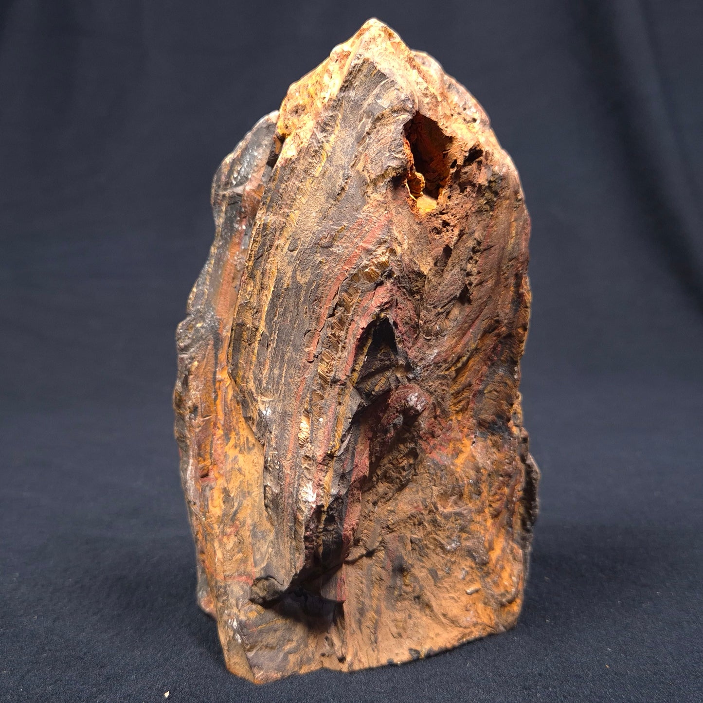 BANDED TIGER IRON MICROBIALITE, Archean, Australia ZBI032