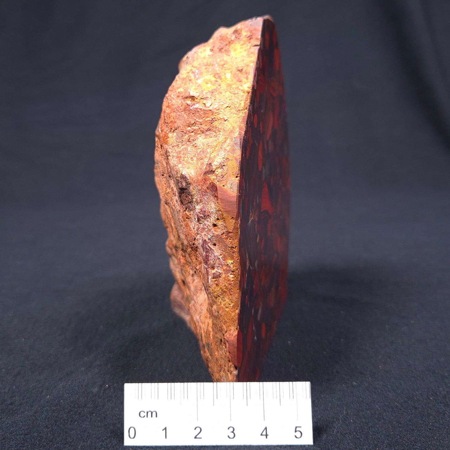 CONGLOMERATE HEMATITE AND JASPER, Australia ZCG001