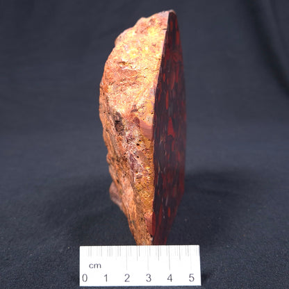 CONGLOMERATE HEMATITE AND JASPER, Australia ZCG001