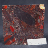 CONGLOMERATE HEMATITE AND JASPER, Australia ZCG002
