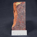 CONGLOMERATE HEMATITE AND JASPER, Australia ZCG002
