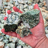TREE AGATE Rough by Weight, India ZRR003