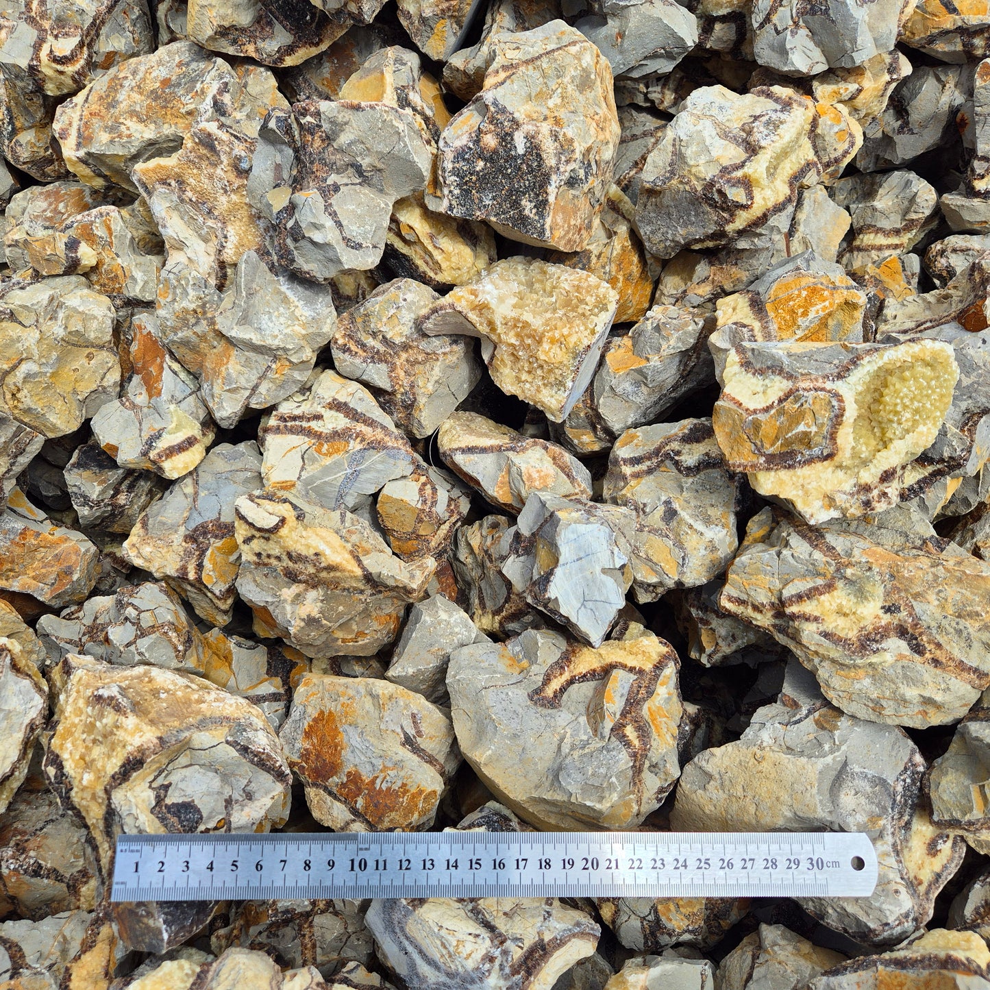 SEPTARIAN Rough by Weight, Madagascar ZRR017