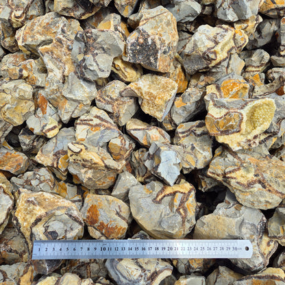 SEPTARIAN Rough by Weight, Madagascar ZRR017