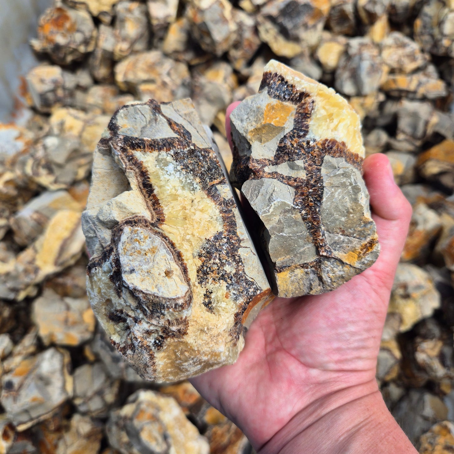 SEPTARIAN Rough by Weight, Madagascar ZRR017
