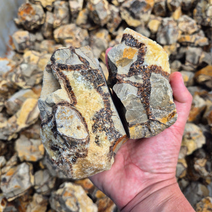 SEPTARIAN Rough by Weight, Madagascar ZRR017