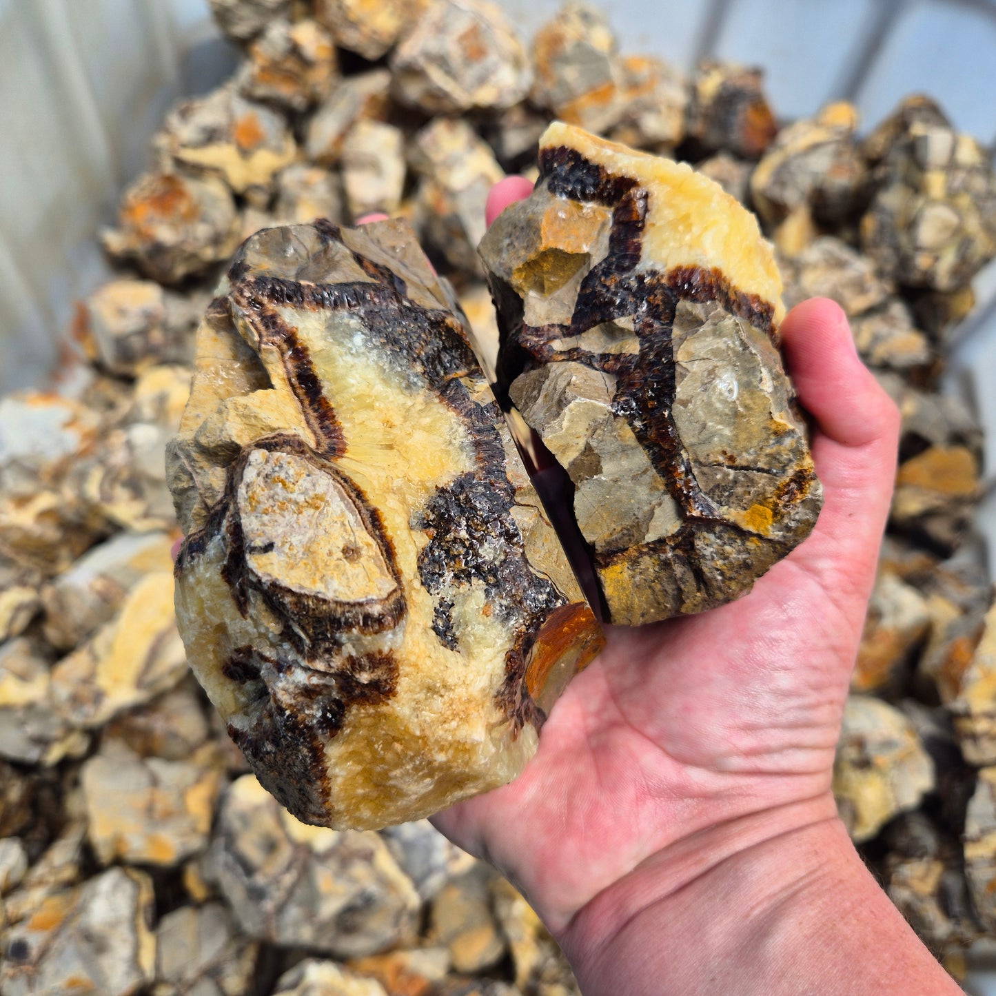 SEPTARIAN Rough by Weight, Madagascar ZRR017