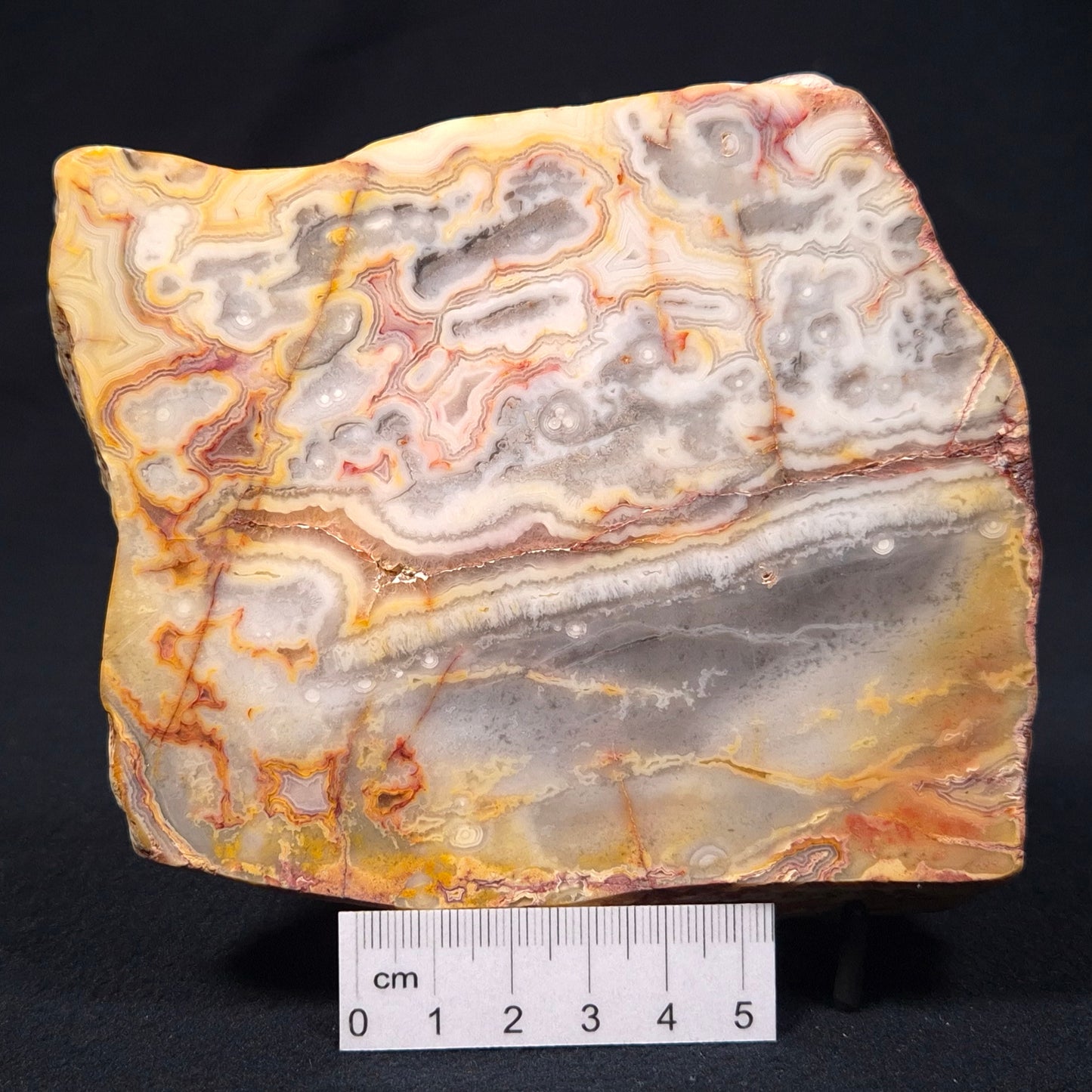 Crazy Lace Agate from Australia Polished YSC021