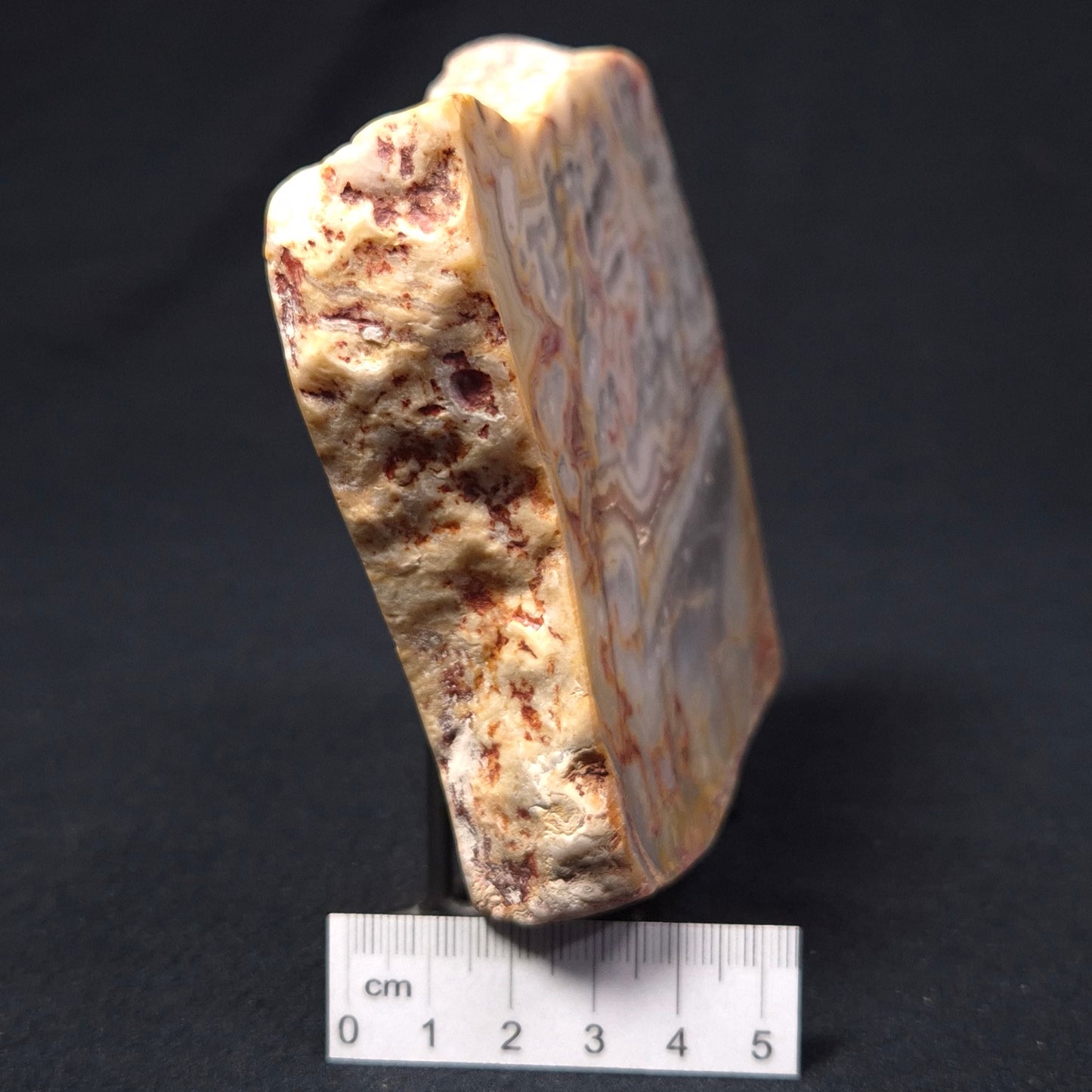 Crazy Lace Agate from Australia Polished YSC021
