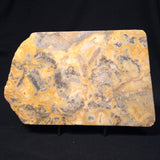 CRAZY LACE AGATE, Australia YSC022