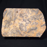 CRAZY LACE AGATE, Australia YSC022