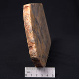 CRAZY LACE AGATE, Australia YSC022
