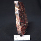 BANDED JASPER WITH HEMATITE, Australia YSC025
