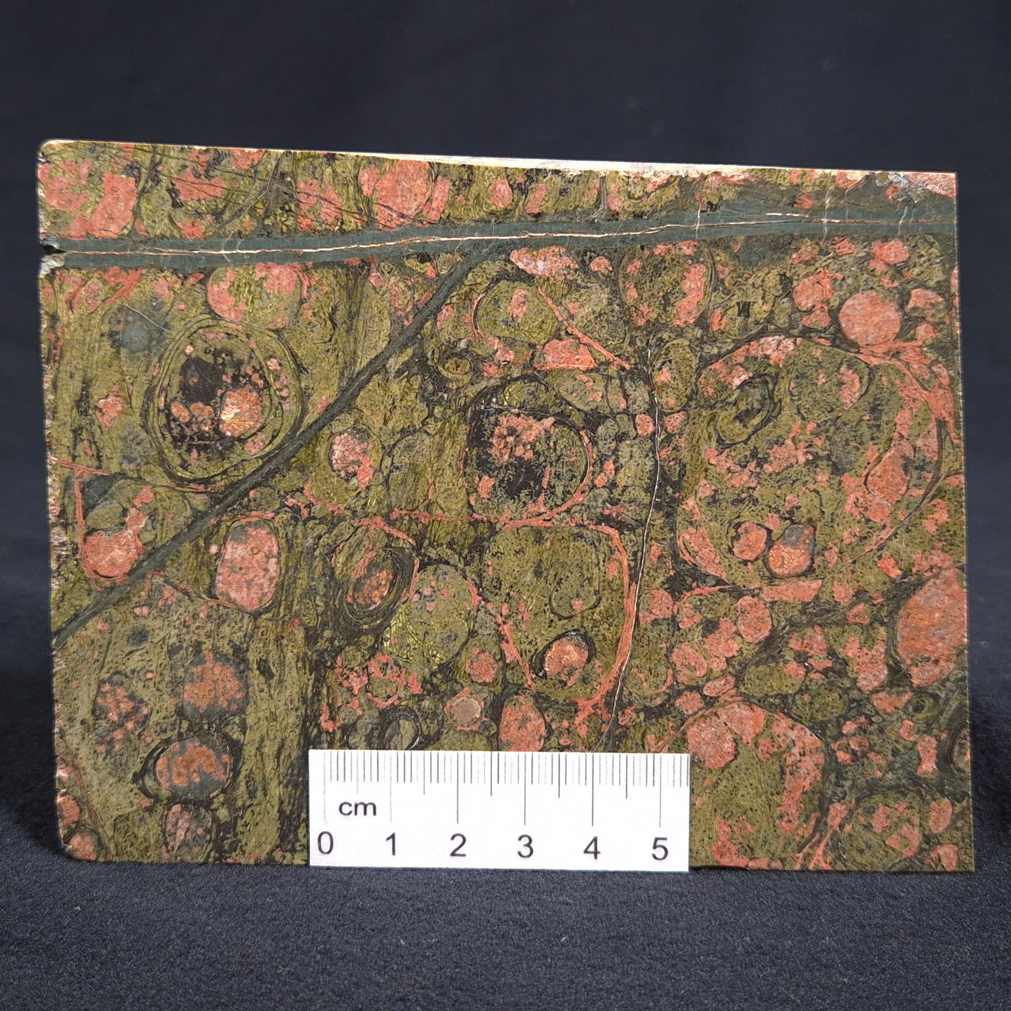 RHYOLITE (RAINFOREST JASPER), Australia YSC033