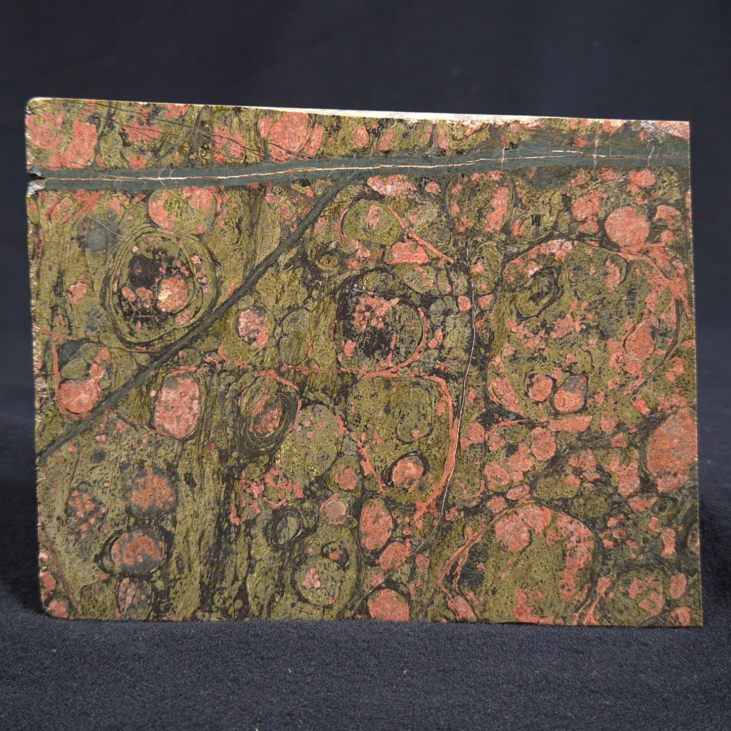 RHYOLITE (RAINFOREST JASPER), Australia YSC033