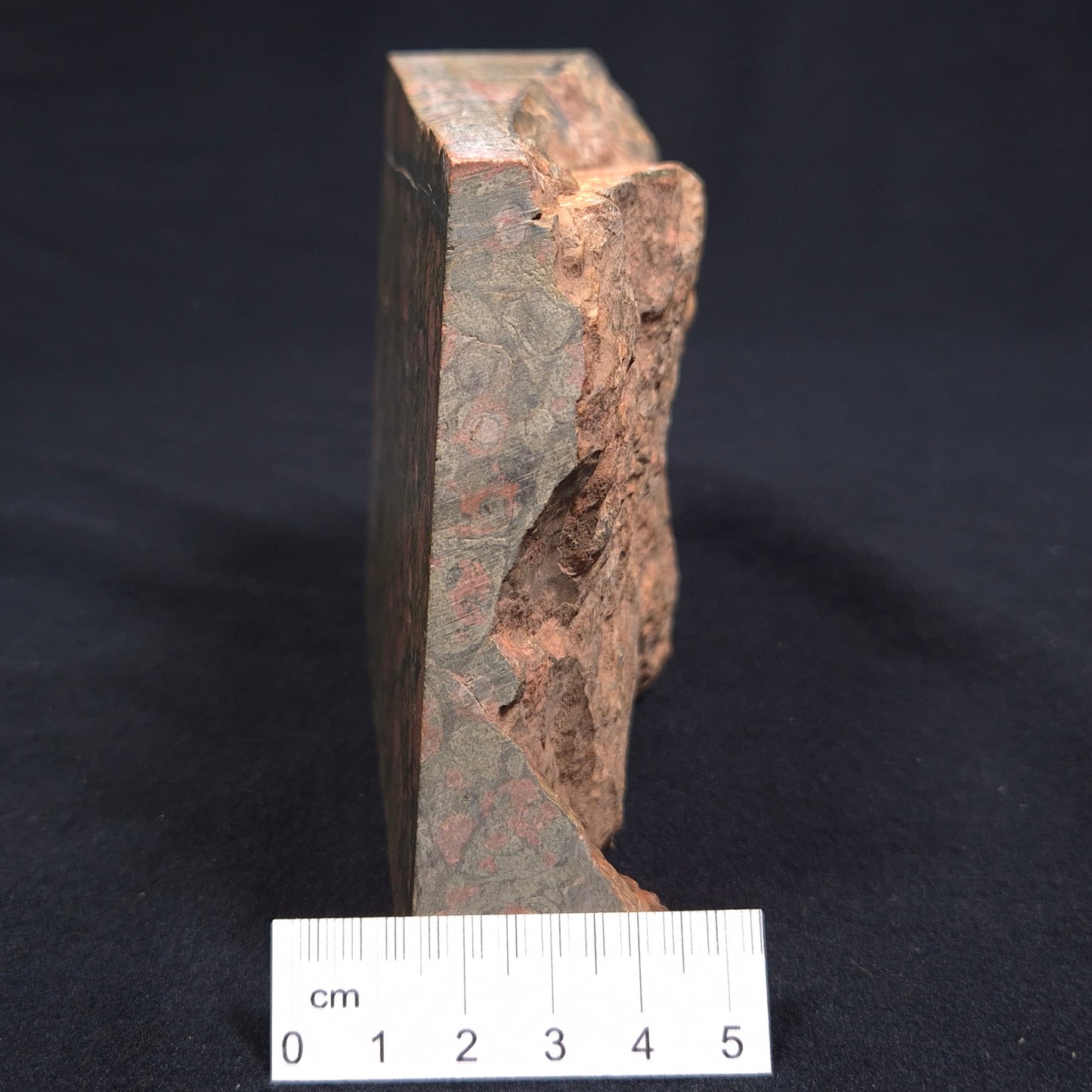 RHYOLITE (RAINFOREST JASPER), Australia YSC033