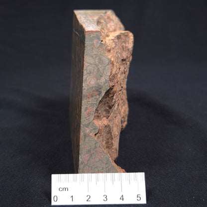 RHYOLITE (RAINFOREST JASPER), Australia YSC033