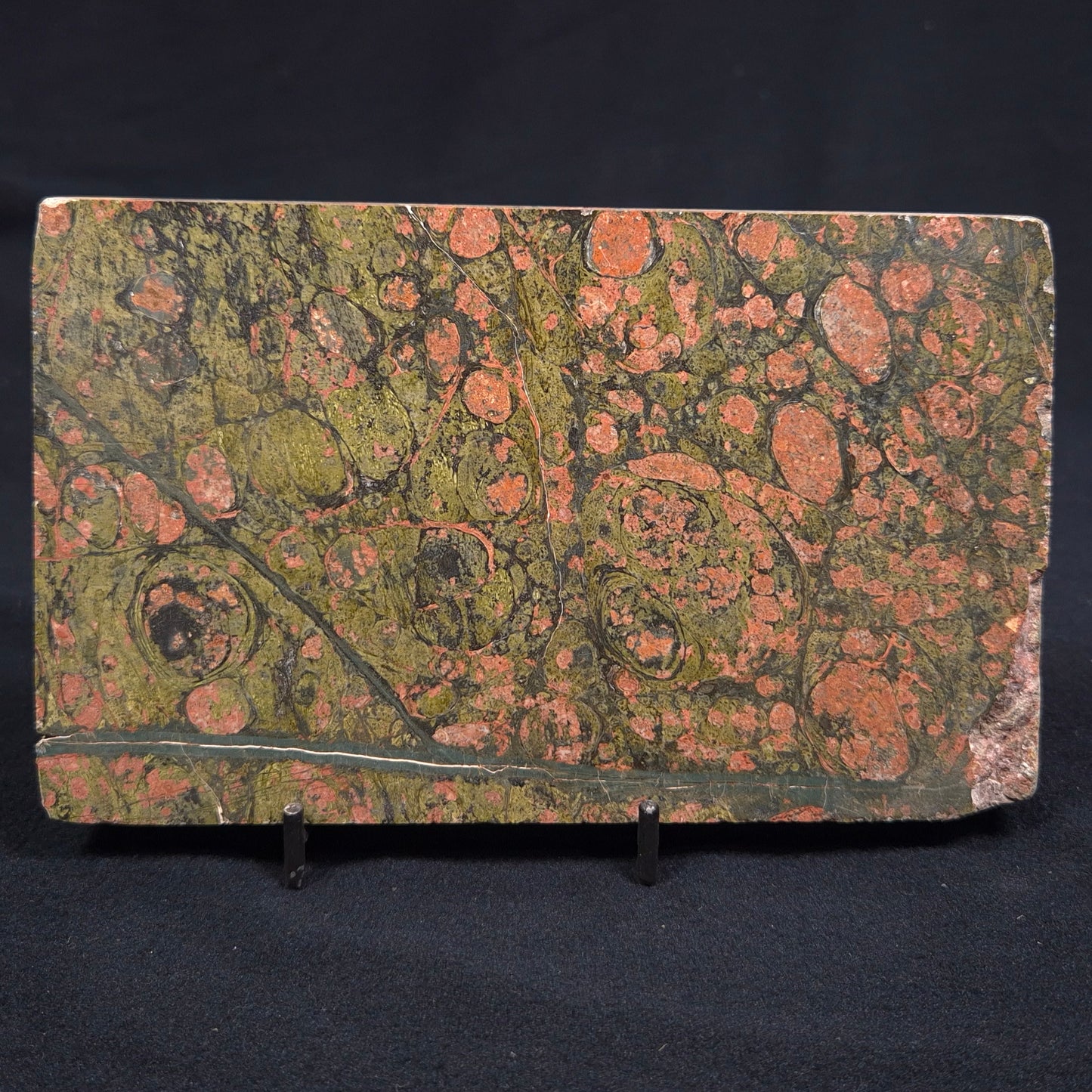 RHYOLITE (RAINFOREST JASPER), Australia YSC034