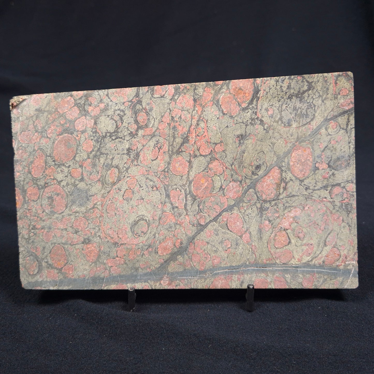 RHYOLITE (RAINFOREST JASPER), Australia YSC034