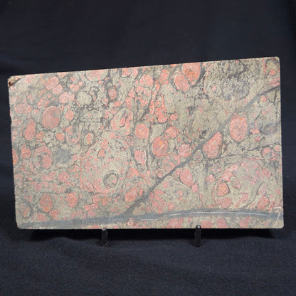 RHYOLITE (RAINFOREST JASPER), Australia YSC034