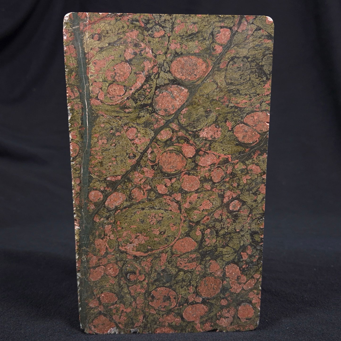 RHYOLITE (RAINFOREST JASPER), Australia YSC035
