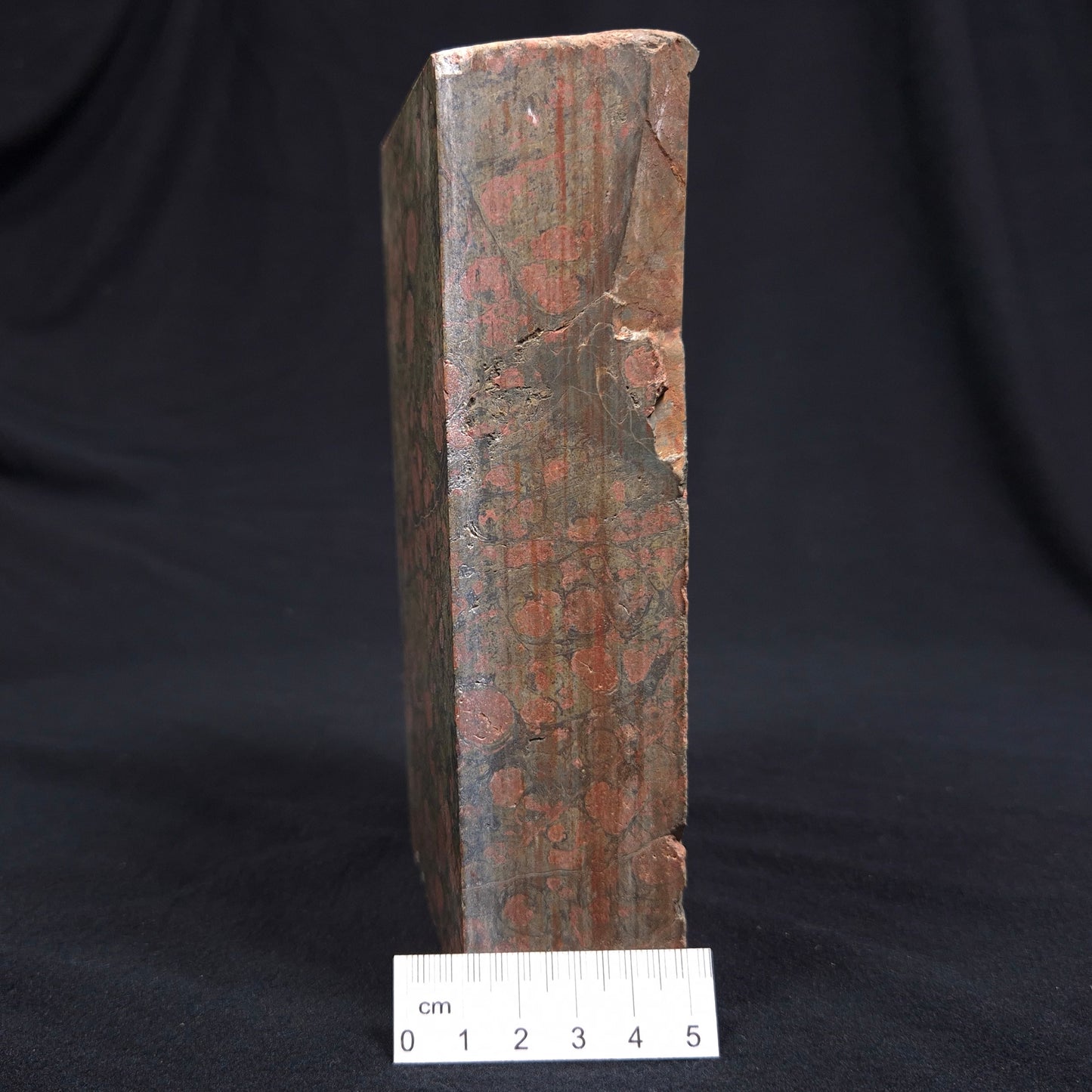 RHYOLITE (RAINFOREST JASPER), Australia YSC035