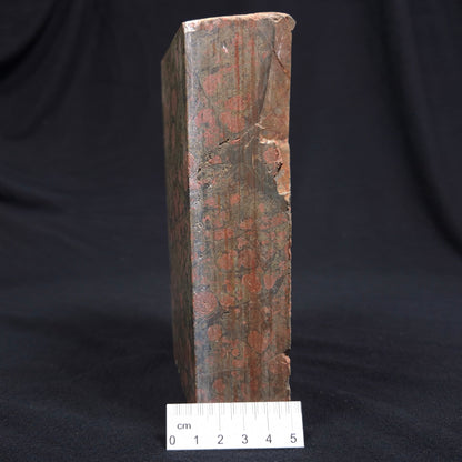 RHYOLITE (RAINFOREST JASPER), Australia YSC035