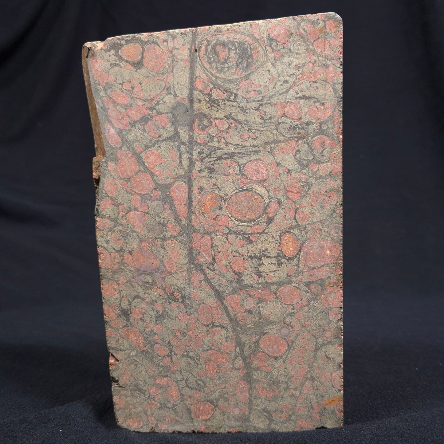 RHYOLITE (RAINFOREST JASPER), Australia YSC035
