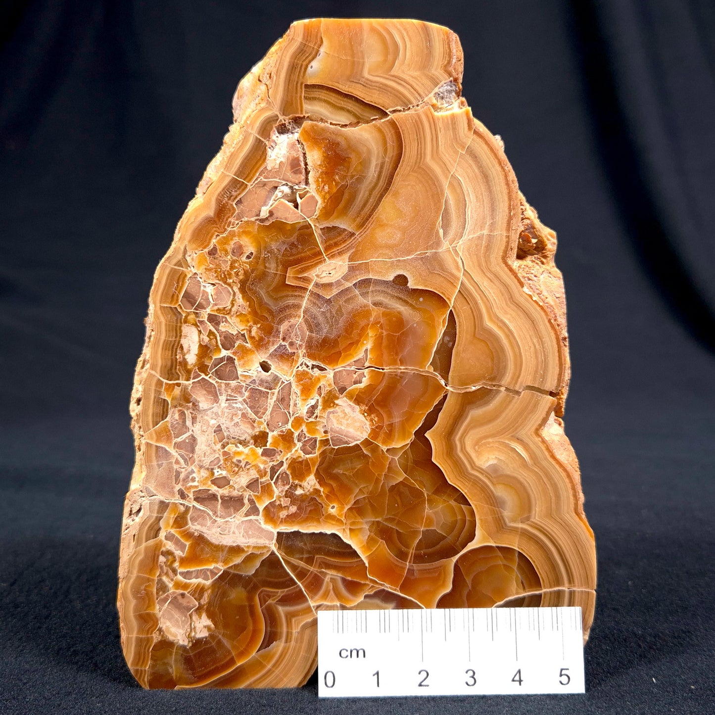 TRAVERTINE (BANDED CALCITE), Australia YSC036