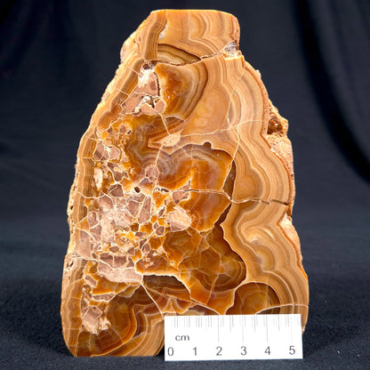 TRAVERTINE (BANDED CALCITE), Australia YSC036