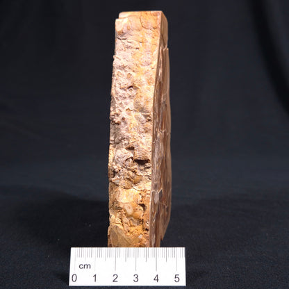 TRAVERTINE (BANDED CALCITE), Australia YSC036