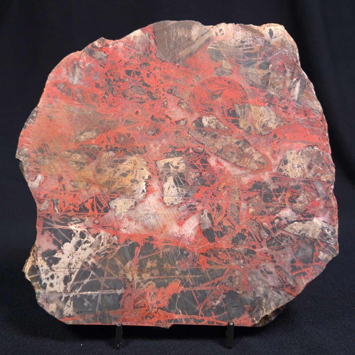 PILBARA PICASSO JASPER, Australia YSC039