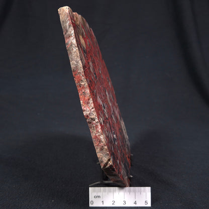PILBARA PICASSO JASPER, Australia YSC039