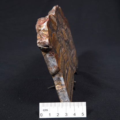 BRECCIA, Australia YSC043