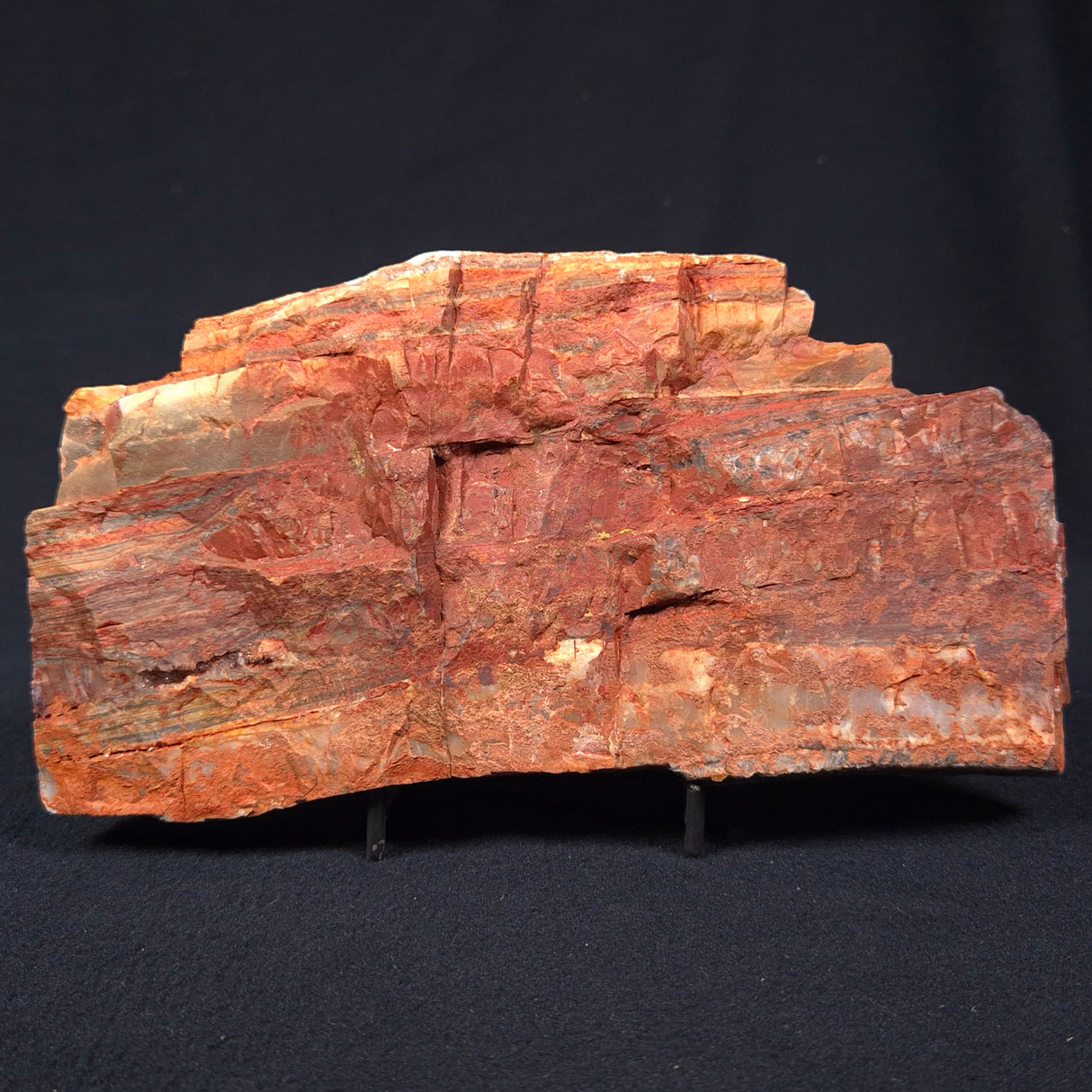 STROMATOLITE, Jerrinah Formation, Proterozoic, Australia ZJF001