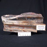 STROMATOLITE, Jerrinah Formation, Proterozoic, Australia ZJF002