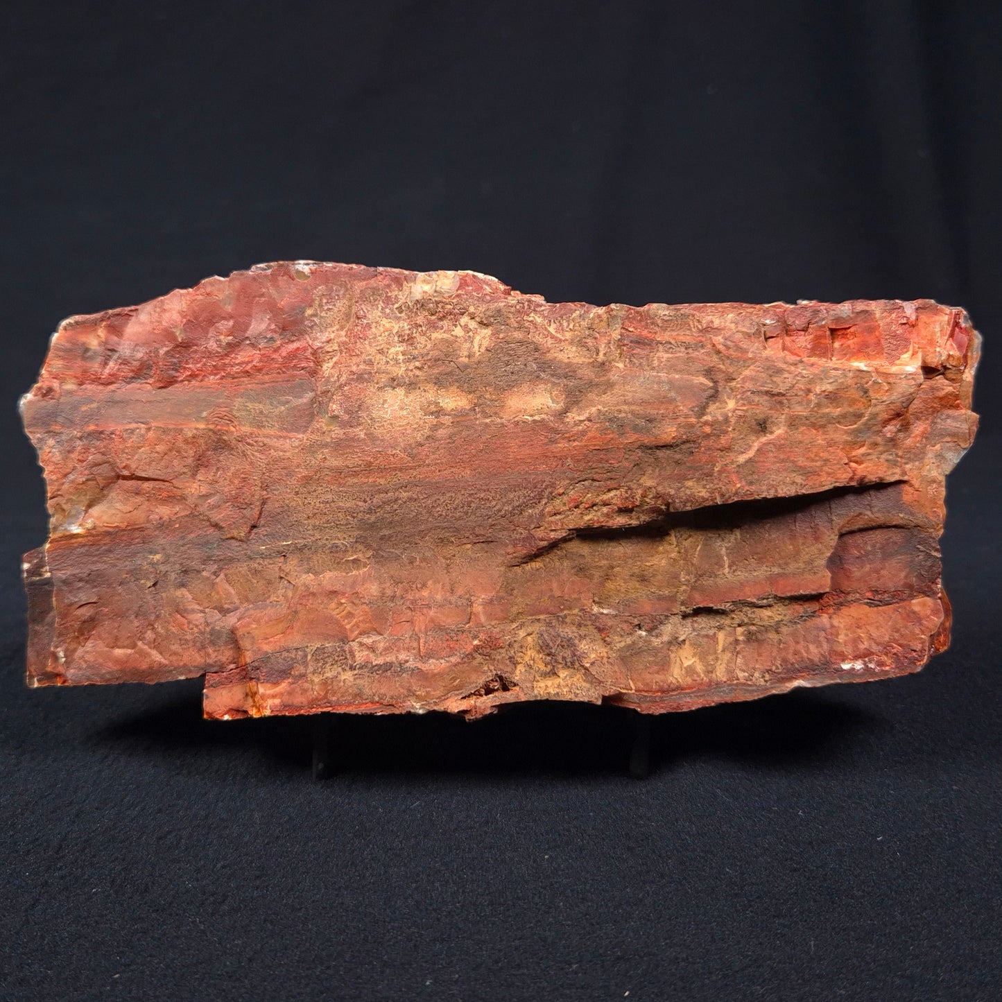 STROMATOLITE, Jerrinah Formation, Proterozoic, Australia ZJF002