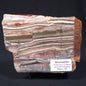 STROMATOLITE, Jerrinah Formation, Proterozoic, Australia ZJF003