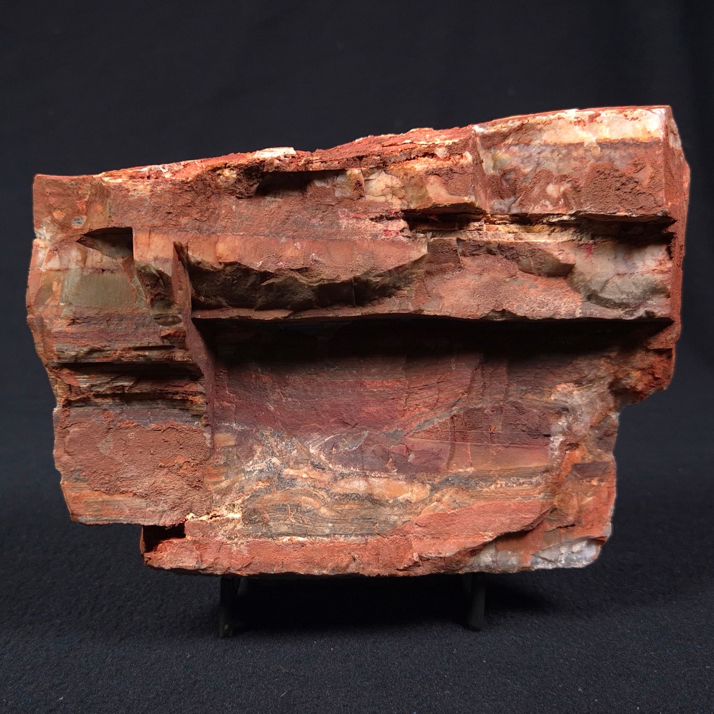 STROMATOLITE, Jerrinah Formation, Proterozoic, Australia ZJF003